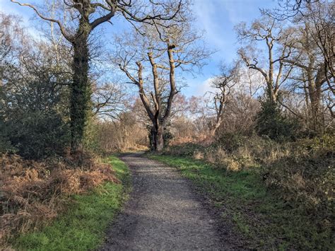 Ashtead Common .